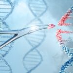 human gene editing