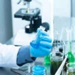 Stem Cells Development